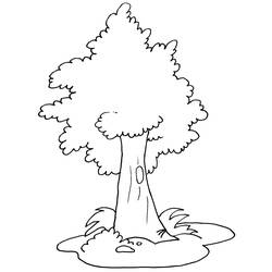 Desenho Árvore (Natureza e Estações) #154680 para imprimir e colorir
