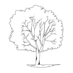 Desenho Árvore (Natureza e Estações) #154693 para imprimir e colorir
