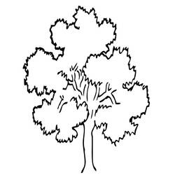 Desenho Árvore (Natureza e Estações) #154701 para imprimir e colorir
