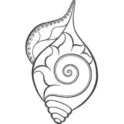 Página para colorir: Concha (Natureza e Estações) #163152 - Páginas para Colorir Imprimíveis Gratuitamente