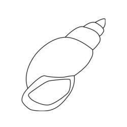 Página para colorir: Concha (Natureza e Estações) #163153 - Páginas para Colorir Imprimíveis Gratuitamente