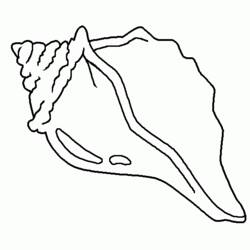 Página para colorir: Concha (Natureza e Estações) #163159 - Páginas para Colorir Imprimíveis Gratuitamente