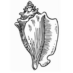 Página para colorir: Concha (Natureza e Estações) #163166 - Páginas para Colorir Imprimíveis Gratuitamente