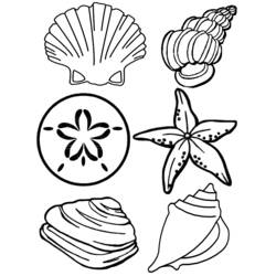 Página para colorir: Concha (Natureza e Estações) #163170 - Páginas para Colorir Imprimíveis Gratuitamente