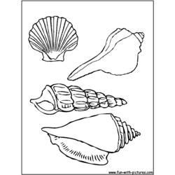 Página para colorir: Concha (Natureza e Estações) #163174 - Páginas para Colorir Imprimíveis Gratuitamente