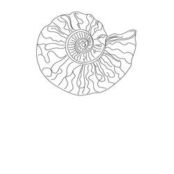 Página para colorir: Concha (Natureza e Estações) #163204 - Páginas para Colorir Imprimíveis Gratuitamente