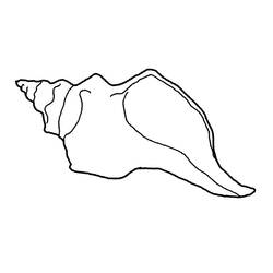 Página para colorir: Concha (Natureza e Estações) #163211 - Páginas para Colorir Imprimíveis Gratuitamente