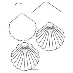 Página para colorir: Concha (Natureza e Estações) #163239 - Páginas para Colorir Imprimíveis Gratuitamente