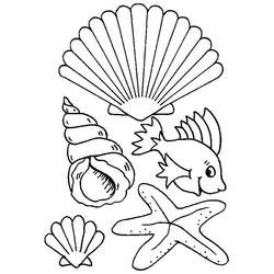 Página para colorir: Concha (Natureza e Estações) #163251 - Páginas para Colorir Imprimíveis Gratuitamente