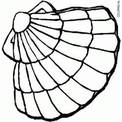 Página para colorir: Concha (Natureza e Estações) #163262 - Páginas para Colorir Imprimíveis Gratuitamente