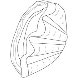 Página para colorir: Concha (Natureza e Estações) #163266 - Páginas para Colorir Imprimíveis Gratuitamente