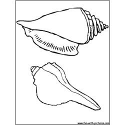Página para colorir: Concha (Natureza e Estações) #163273 - Páginas para Colorir Imprimíveis Gratuitamente