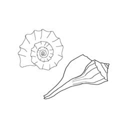 Página para colorir: Concha (Natureza e Estações) #163303 - Páginas para Colorir Imprimíveis Gratuitamente