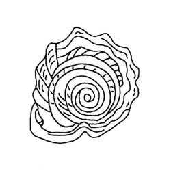 Página para colorir: Concha (Natureza e Estações) #163356 - Páginas para Colorir Imprimíveis Gratuitamente