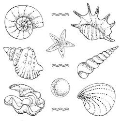 Página para colorir: Concha (Natureza e Estações) #185428 - Páginas para Colorir Imprimíveis Gratuitamente