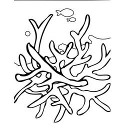 Desenho Coral (Natureza e Estações) #210311 para imprimir e colorir