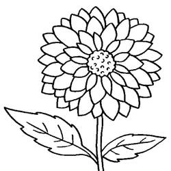 Desenhos para colorir: Dália - Páginas para Colorir Imprimíveis Gratuitamente