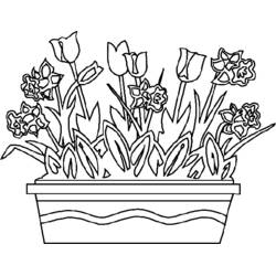 Desenho Estação da Primavera (Natureza e Estações) #164987 para imprimir e colorir