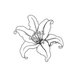 Desenho Estação da Primavera (Natureza e Estações) #165008 para imprimir e colorir