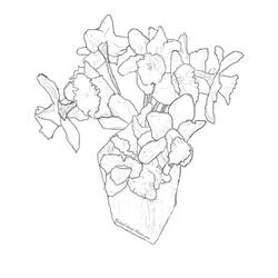 Desenho Estação da Primavera (Natureza e Estações) #165044 para imprimir e colorir