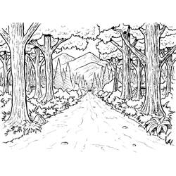 Desenhos para colorir: Floresta - Páginas para Colorir Imprimíveis Gratuitamente