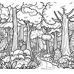 Desenho Floresta (Natureza e Estações) #191230 para imprimir e colorir