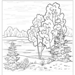 Desenho Floresta (Natureza e Estações) #191242 para imprimir e colorir