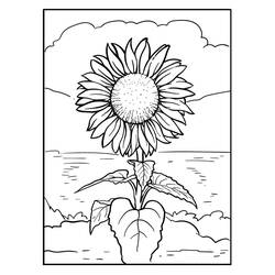 Desenhos para colorir: Girassol - Páginas para Colorir Imprimíveis Gratuitamente
