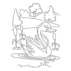 Página para colorir: Lago (Natureza e Estações) #166076 - Páginas para Colorir Imprimíveis Gratuitamente
