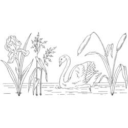 Página para colorir: Lago (Natureza e Estações) #166100 - Páginas para Colorir Imprimíveis Gratuitamente