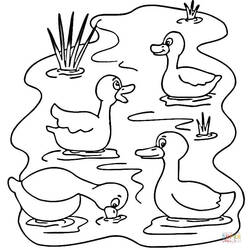 Página para colorir: Lago (Natureza e Estações) #166109 - Páginas para Colorir Imprimíveis Gratuitamente