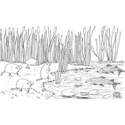 Página para colorir: Lago (Natureza e Estações) #166123 - Páginas para Colorir Imprimíveis Gratuitamente