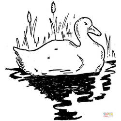 Página para colorir: Lago (Natureza e Estações) #166126 - Páginas para Colorir Imprimíveis Gratuitamente