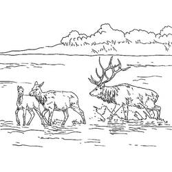 Página para colorir: Lago (Natureza e Estações) #166158 - Páginas para Colorir Imprimíveis Gratuitamente