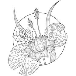 Desenhos para colorir: Lótus - Páginas para Colorir Imprimíveis Gratuitamente