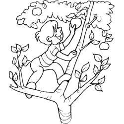 Página para colorir: Macieira (Natureza e Estações) #163444 - Páginas para Colorir Imprimíveis Gratuitamente
