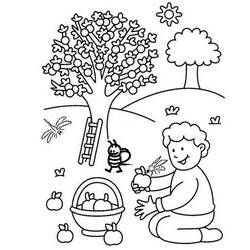 Página para colorir: Macieira (Natureza e Estações) #163445 - Páginas para Colorir Imprimíveis Gratuitamente