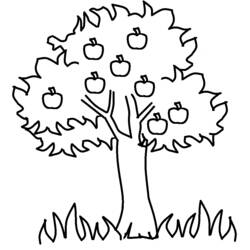 Página para colorir: Macieira (Natureza e Estações) #163457 - Páginas para Colorir Imprimíveis Gratuitamente