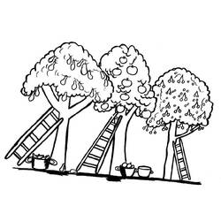 Página para colorir: Macieira (Natureza e Estações) #163463 - Páginas para Colorir Imprimíveis Gratuitamente