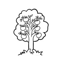Página para colorir: Macieira (Natureza e Estações) #163492 - Páginas para Colorir Imprimíveis Gratuitamente