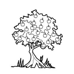 Página para colorir: Macieira (Natureza e Estações) #163740 - Páginas para Colorir Imprimíveis Gratuitamente