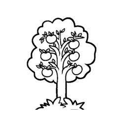 Página para colorir: Macieira (Natureza e Estações) #163751 - Páginas para Colorir Imprimíveis Gratuitamente