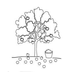 Página para colorir: Macieira (Natureza e Estações) #163752 - Páginas para Colorir Imprimíveis Gratuitamente