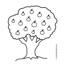 Desenhos para colorir: Macieira - Páginas para Colorir Imprimíveis Gratuitamente