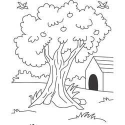 Página para colorir: Macieira (Natureza e Estações) #163772 - Páginas para Colorir Imprimíveis Gratuitamente