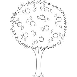 Página para colorir: Macieira (Natureza e Estações) #163789 - Páginas para Colorir Imprimíveis Gratuitamente