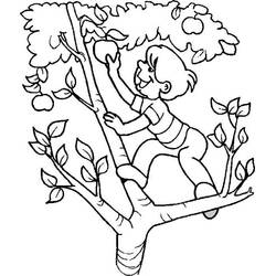 Página para colorir: Macieira (Natureza e Estações) #163793 - Páginas para Colorir Imprimíveis Gratuitamente