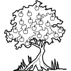 Página para colorir: Macieira (Natureza e Estações) #163846 - Páginas para Colorir Imprimíveis Gratuitamente