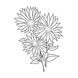 Página para colorir: Margarida (Natureza e Estações) #176546 - Páginas para Colorir Imprimíveis Gratuitamente