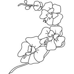 Desenhos para colorir: Orquídea - Páginas para Colorir Imprimíveis Gratuitamente